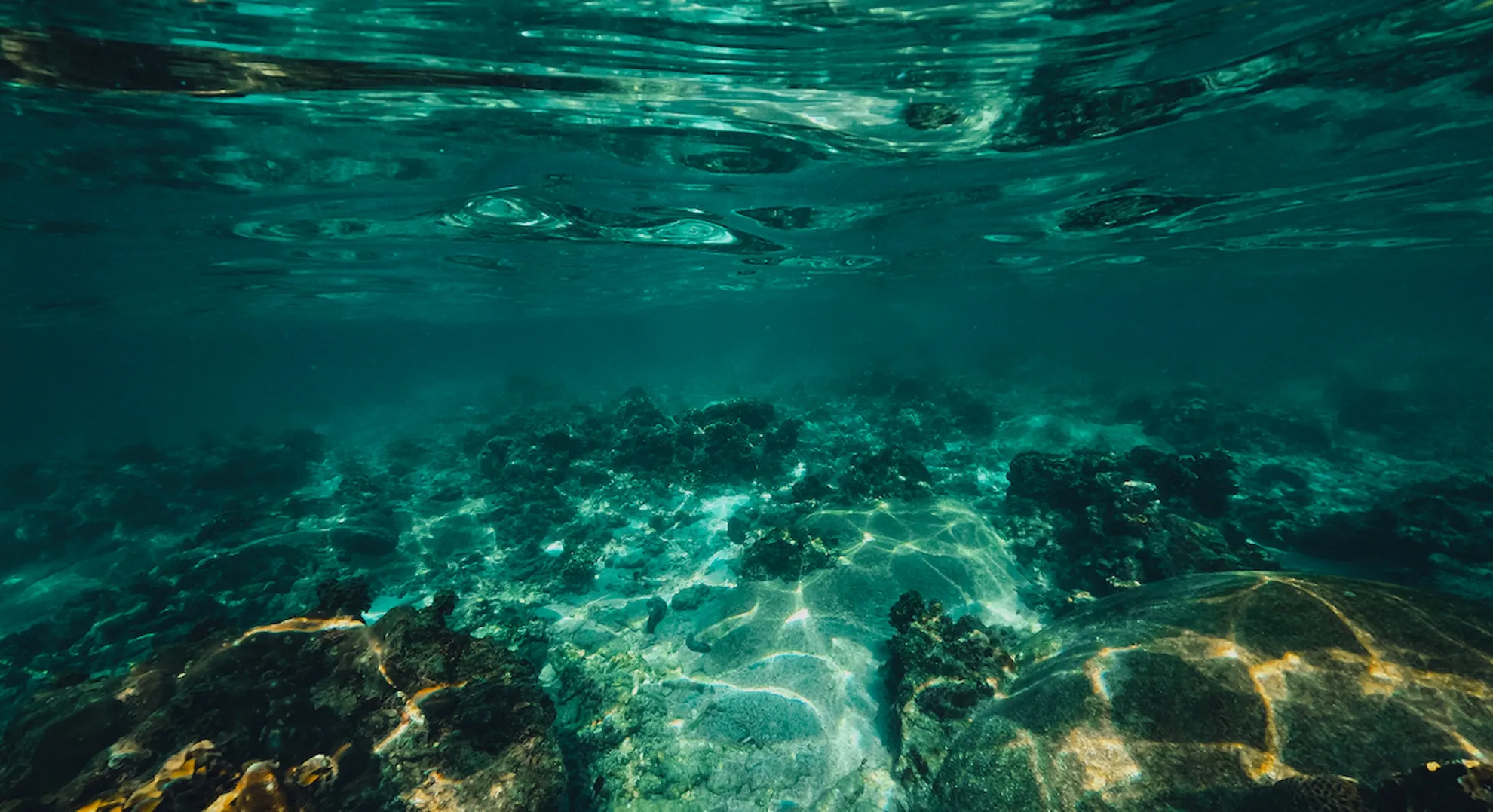 Bottom of a Kantun Chi cenote